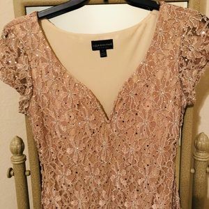 Beautiful Nude Sequined Gown